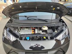 BYD Seagull Flying Edition - ფოტო 19