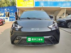 BYD Seagull Flying Edition - ფოტო 2