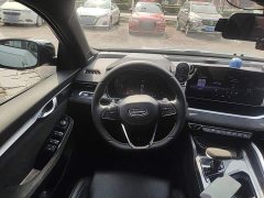 Geely Xingrui 2.0T Diesel Spacetime Edition Bright Moon - ფოტო 10