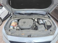 Geely Xingrui 2.0T Diesel Spacetime Edition Bright Moon - ფოტო 19