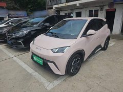 BYD Seagull Freedom Edition - ფოტო 1