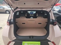 BYD Seagull Freedom Edition - ფოტო 15