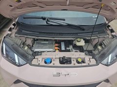 BYD Seagull Freedom Edition - ფოტო 16