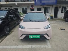BYD Seagull Freedom Edition - ფოტო 2