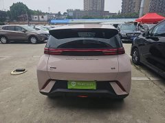 BYD Seagull Freedom Edition - ფოტო 3