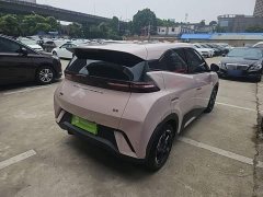 BYD Seagull Freedom Edition - ფოტო 4