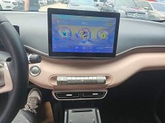 BYD Seagull Freedom Edition - ფოტო 9