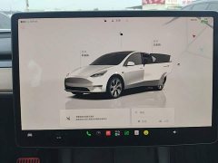 Tesla Model Y Facelift Rear-Wheel Drive - ფოტო 12