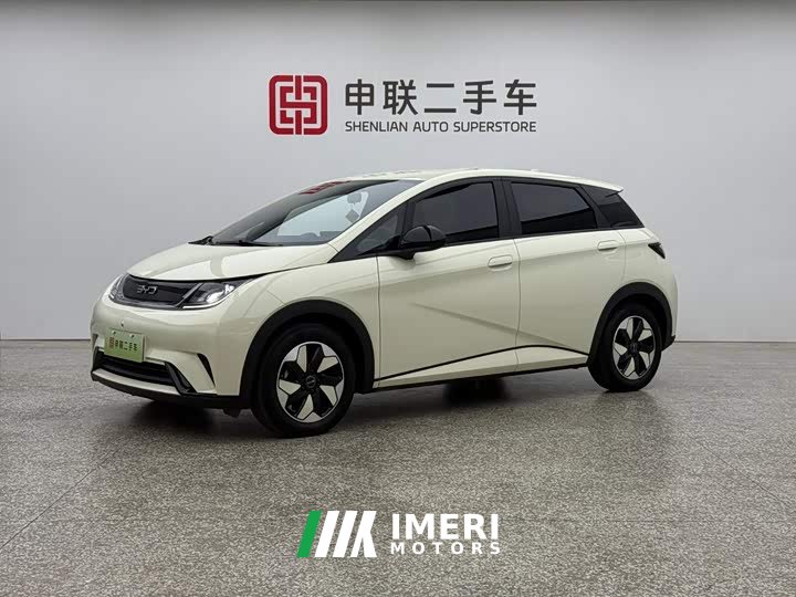 BYD Dolphin 420km Freedom Edition