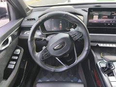 Geely Xingrui 2.0T Diesel Spacetime Edition Bright Moon - ფოტო 11