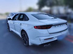 Geely Xingrui 2.0T Diesel Spacetime Edition Bright Moon - ფოტო 4