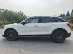 Audi Q2L 2020 35 TFSI Dynamic Entry - ფოტო 3