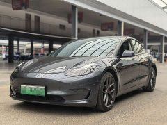 Tesla Model 3 Facelift Performance All-Wheel Drive 3D1 - ფოტო 1