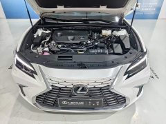 Lexus ES 300h Premium Edition - ფოტო 9