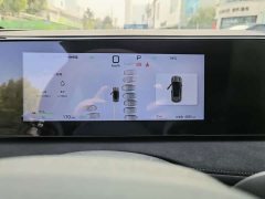 BYD Sealion 06 DM-i 205 Pilot Pro - ფოტო 8