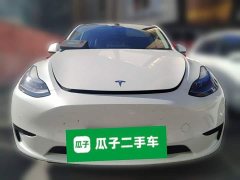 Tesla Model Y Rear-Wheel Drive - ფოტო 2