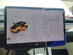 Tesla Model Y Rear-Wheel Drive - ფოტო 20
