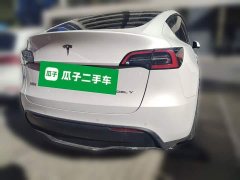 Tesla Model Y Rear-Wheel Drive - ფოტო 3