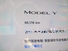 Tesla Model Y Rear-Wheel Drive - ფოტო 8