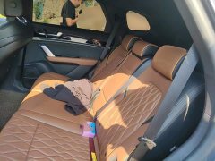 BYD Tang New Energy 2021 DM-i 112KM Premium Edition - ფოტო 18