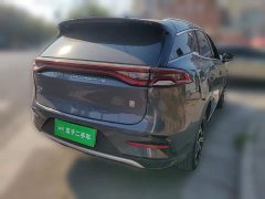 BYD Tang New Energy 2021 DM-i 112KM Premium Edition - ფოტო 6
