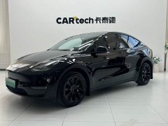 Tesla Model Y 2022 Long Range All-Wheel Drive - ფოტო 1