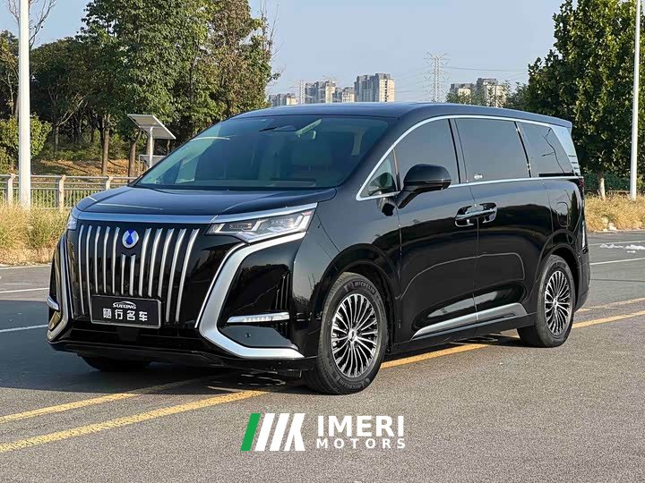 Denza BYD Denza D9 2022 EV 600 AWD Flagship - ავტომობილი ჩინეთიდან