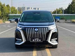 Denza BYD Denza D9 2022 EV 600 AWD Flagship - ფოტო 2