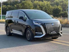 Denza BYD Denza D9 2022 EV 600 AWD Flagship - ფოტო 3