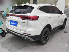 Haval H6 National Trend Edition 1.5T Automatic Urban Version - ფოტო 3