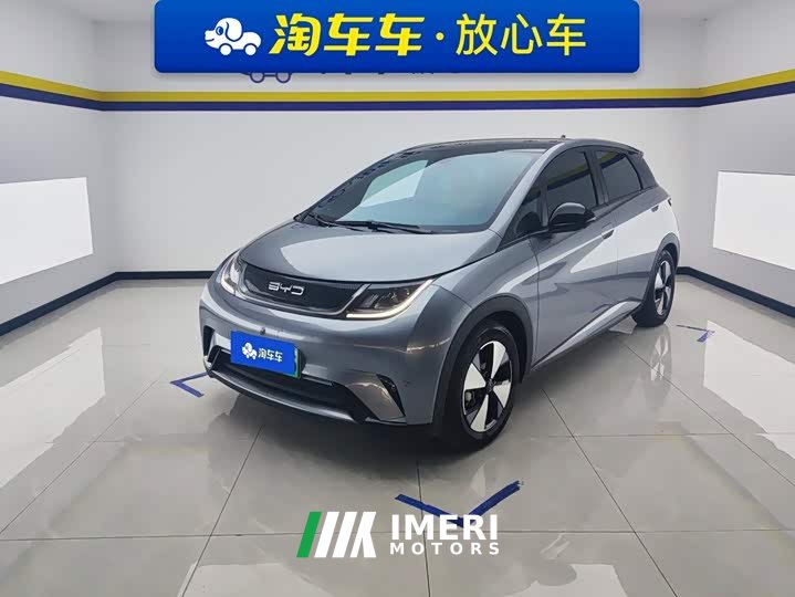 BYD Dolphin 420km Fashion Edition - ავტომობილი ჩინეთიდან
