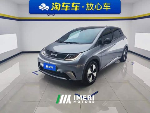2023 BYD Dolphin 420km Fashion Edition - ავტომობილი ჩინეთიდან