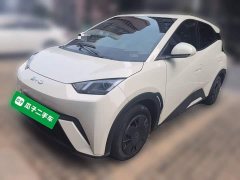 BYD Seagull 305km Vitality Edition - ფოტო 1