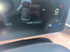BYD Seagull 305km Vitality Edition - ფოტო 13