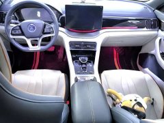 BYD Song Plus New Energy 2021 DM-i 110KM Flagship Plus - ფოტო 8