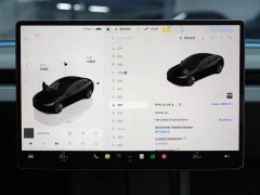 Tesla Model 3 Rear-Wheel Drive - ფოტო 11