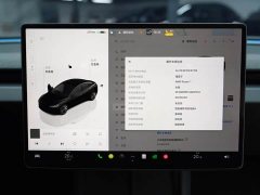 Tesla Model 3 Rear-Wheel Drive - ფოტო 12
