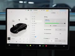 Tesla Model 3 Rear-Wheel Drive - ფოტო 15