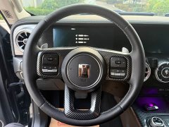 Tank 300 2021 Off-Road Edition 2.0T Conqueror - ფოტო 17