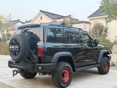 Tank 300 2021 Off-Road Edition 2.0T Conqueror - ფოტო 9