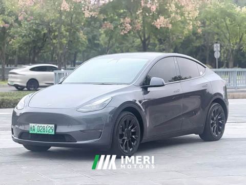 2021 Tesla Model Y Long Range All-Wheel Drive - автомобиль из Китая