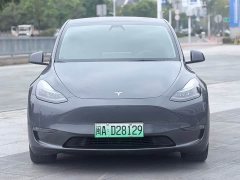 Tesla Model Y Long Range All-Wheel Drive - ფოტო 2