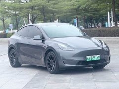 Tesla Model Y Long Range All-Wheel Drive - ფოტო 3