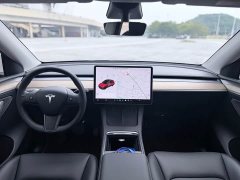 Tesla Model Y Long Range All-Wheel Drive - ფოტო 9