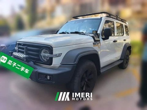 2021 Tank 300 Off-Road Edition 2.0T Conqueror - ავტომობილი ჩინეთიდან