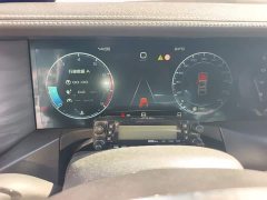 Tank 300 Off-Road Edition 2.0T Conqueror - ფოტო 7