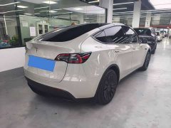 Tesla Model Y Rear-Wheel Drive - ფოტო 8