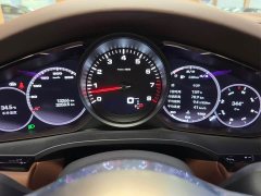 Porsche Cayenne 3.0T - ფოტო 14