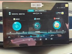 BYD Qin Plus 2021 DM-i 120KM Luxury - ფოტო 20