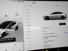 Tesla Model 3 2023 Rear-Wheel Drive - ფოტო 12